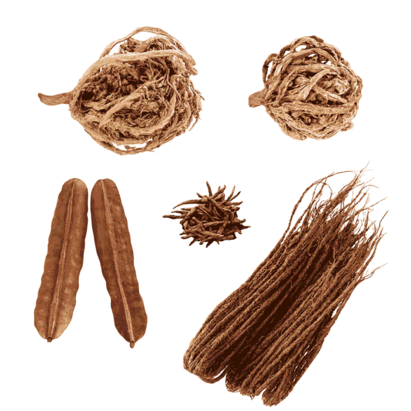 Pack Boost Fertilité –  Stimulez naturellement la conception