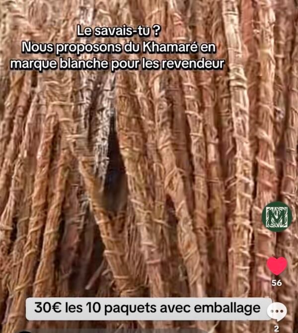 Screenshot Lot de 10 paquet de 5 tiges de Khamaré
